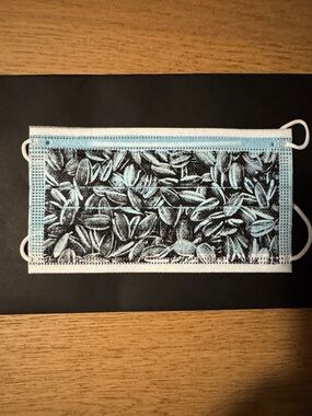 Ai Weiwei - Screen printed art piece produced during covid lock down.
